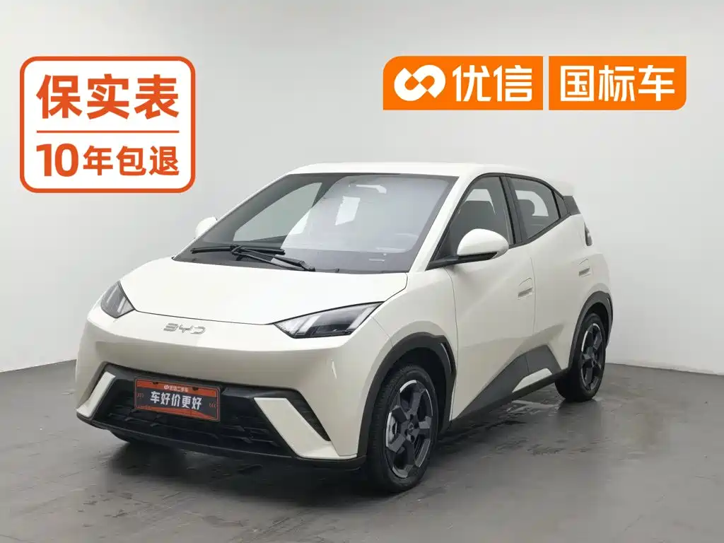 BYD Seagull