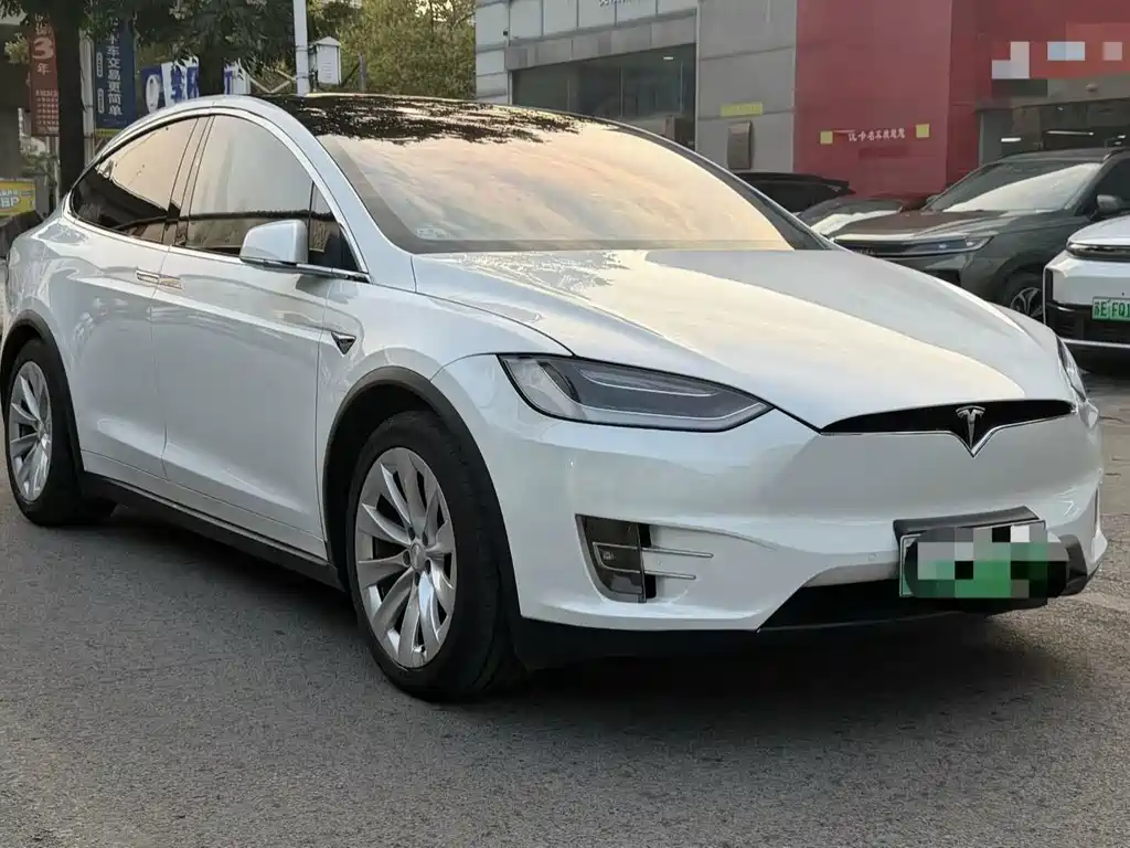 Tesla Model X — миниатюра 6
