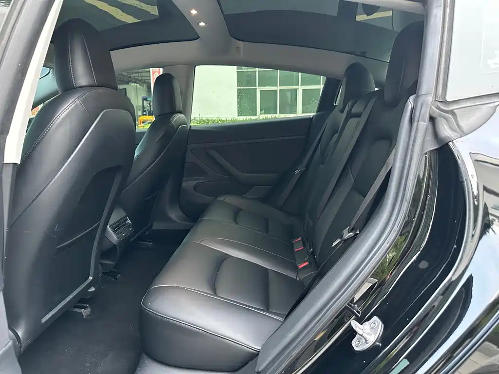 Tesla Model 3 — миниатюра 11