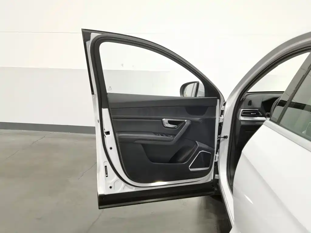 BYD Pro — миниатюра 8