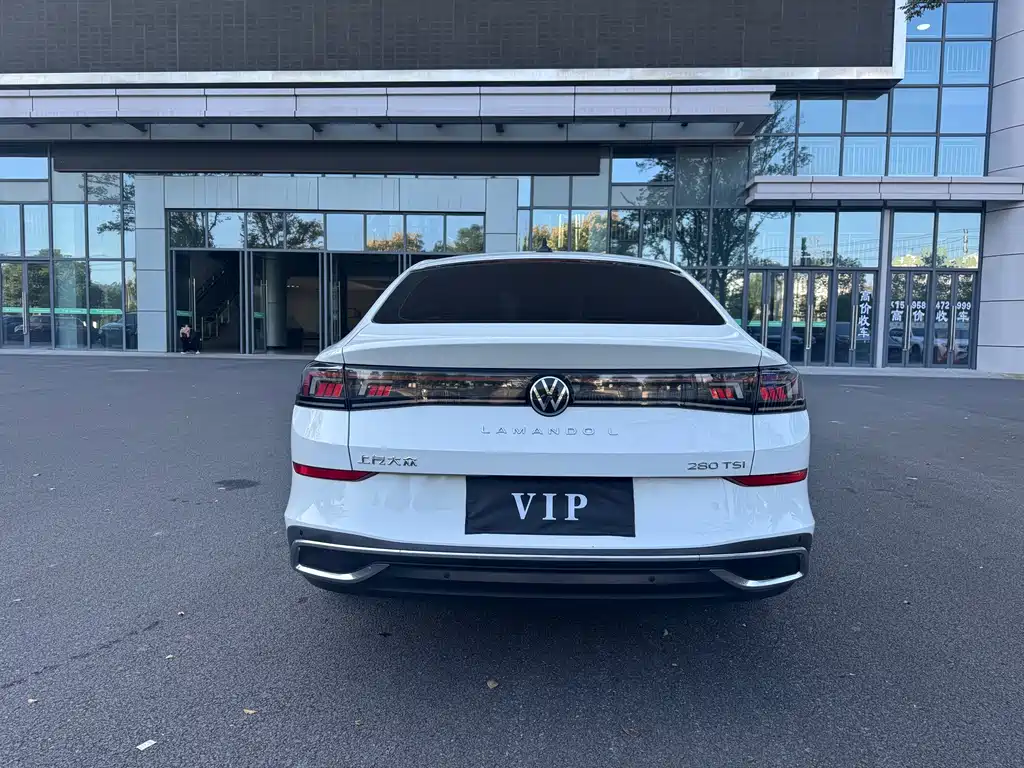 Volkswagen Lamando — миниатюра 7