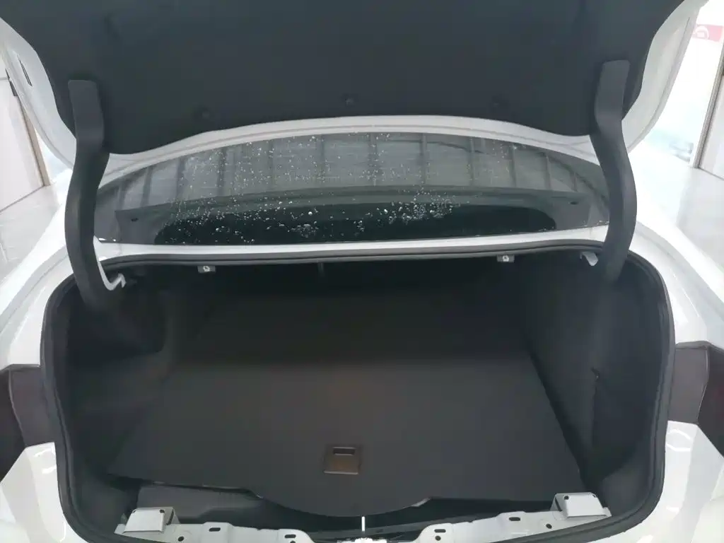 Buick Regal — миниатюра 19