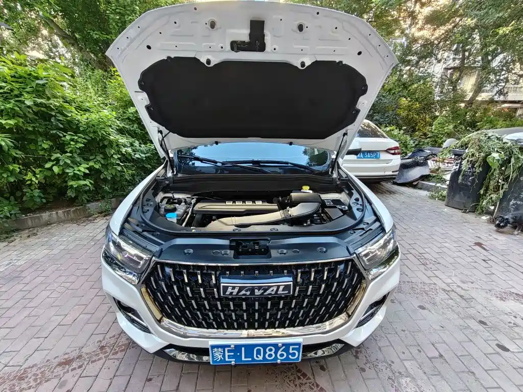 Haval H6 — миниатюра 6