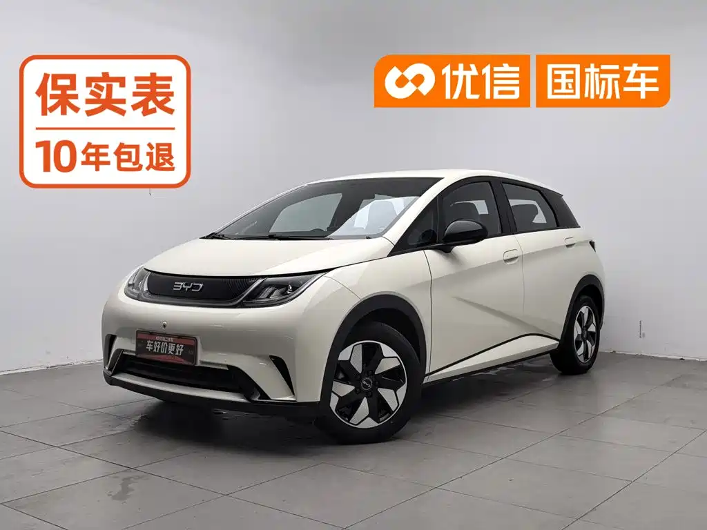 BYD Dolphin