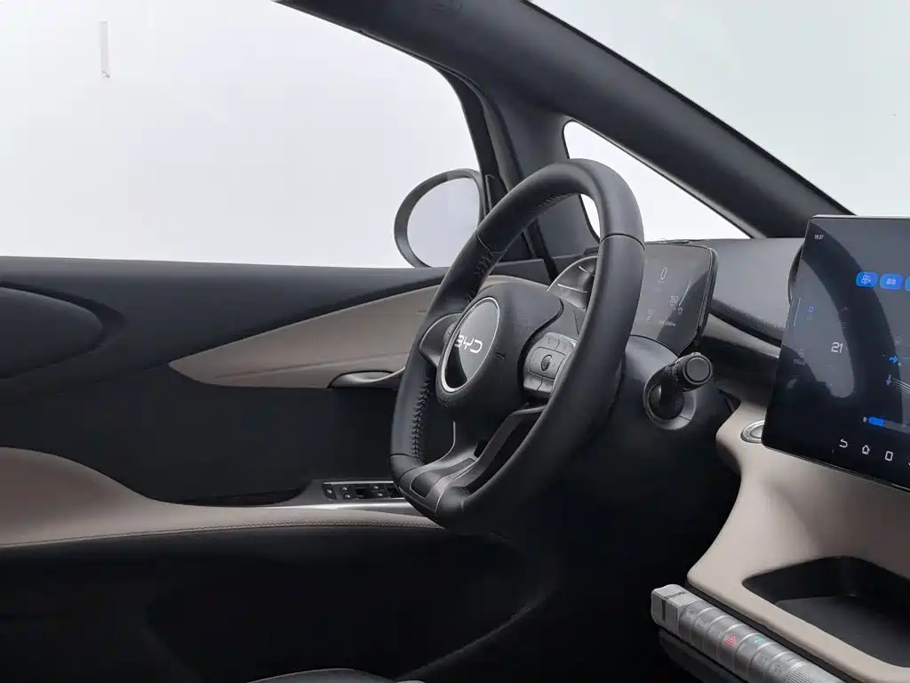 BYD Dolphin — миниатюра 22
