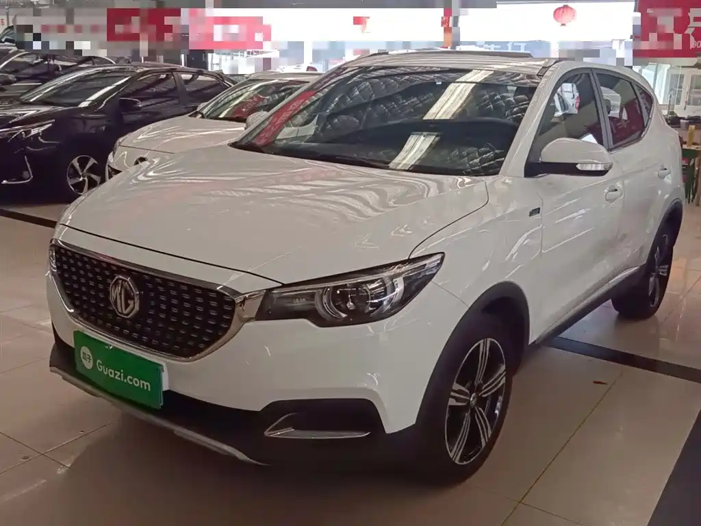 Mg ZS 2019