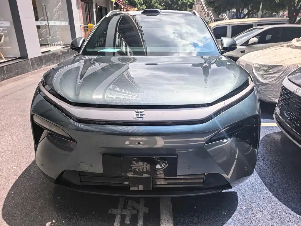 BYD Tang L - фото 2