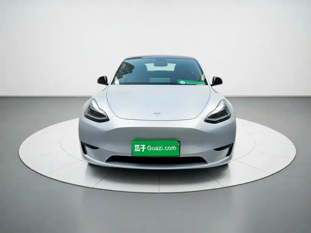 Tesla Model Y — миниатюра 2