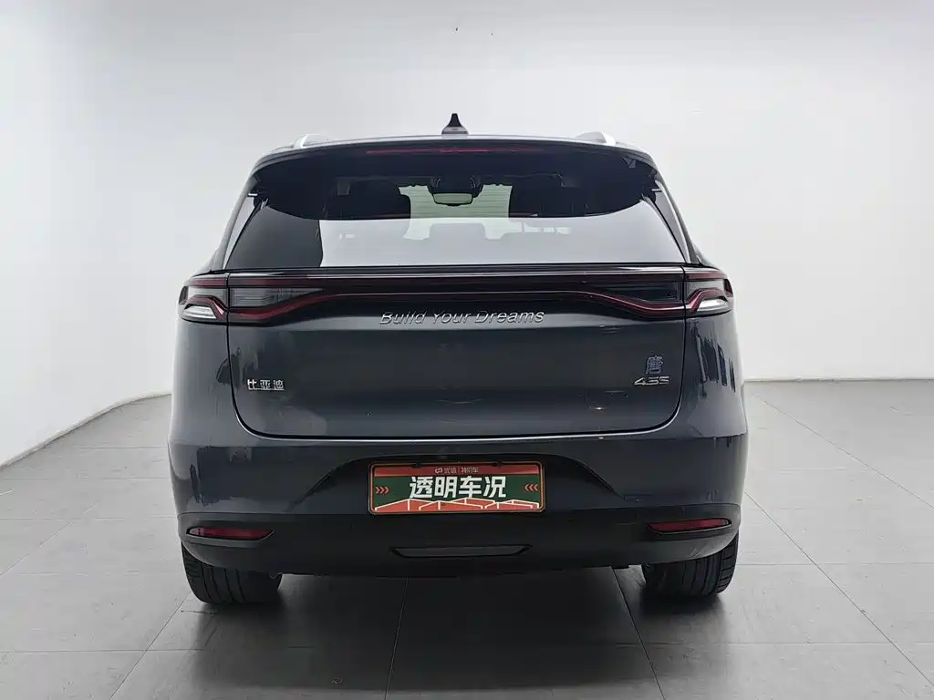 BYD Tang New Energy — миниатюра 4