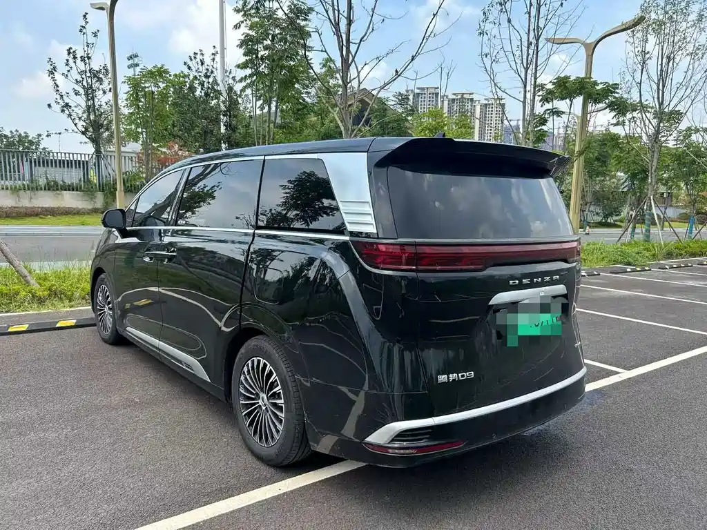 Denza Denza D9 — миниатюра 4