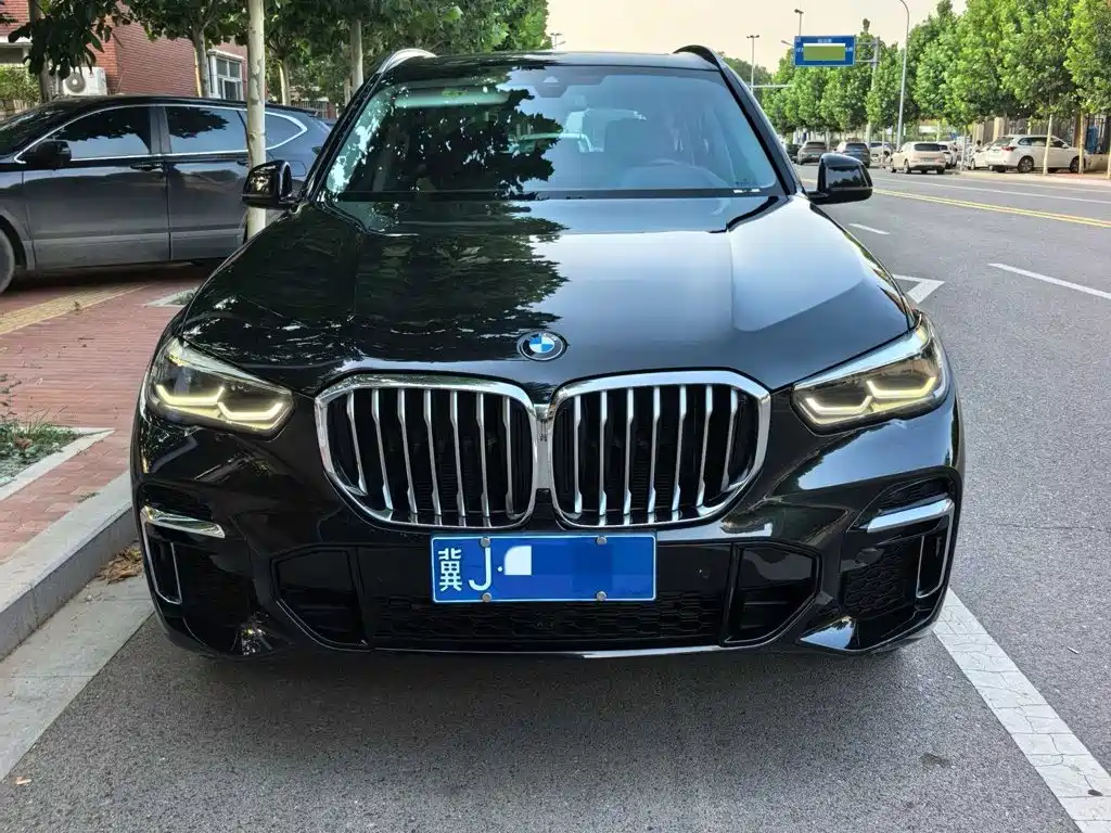 BMW X5 2022 xDrive 30Li M Sport