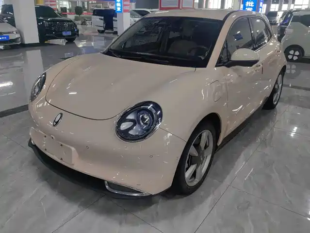 2021 Ora Good Cat