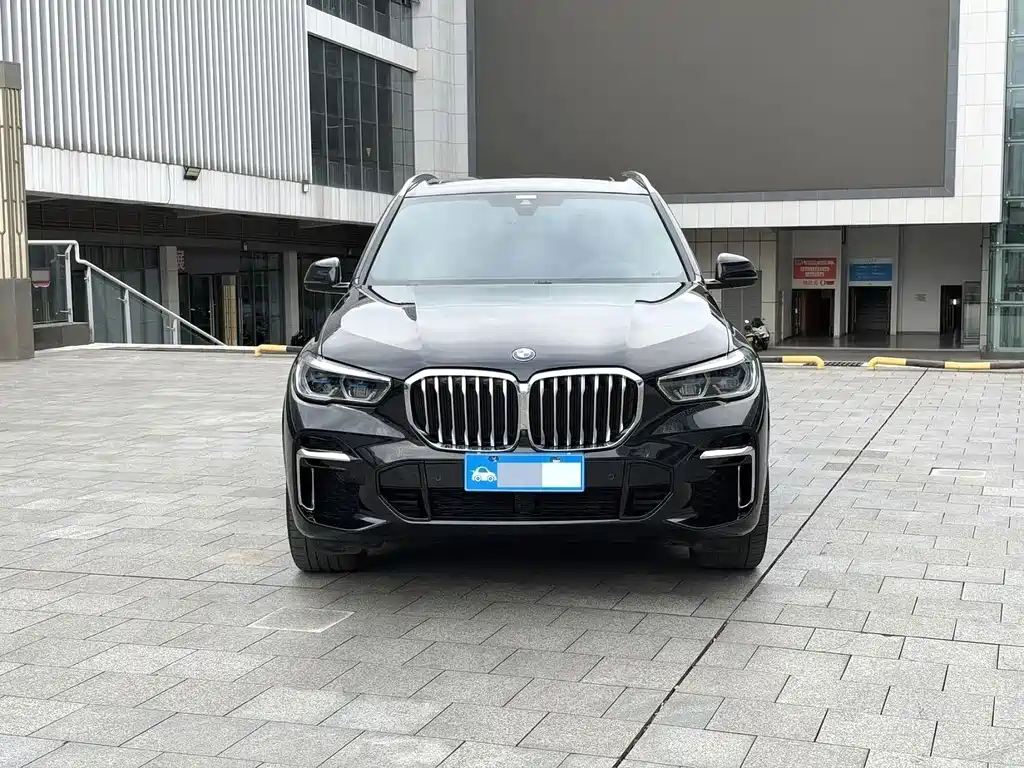 BMW X5 — миниатюра 2