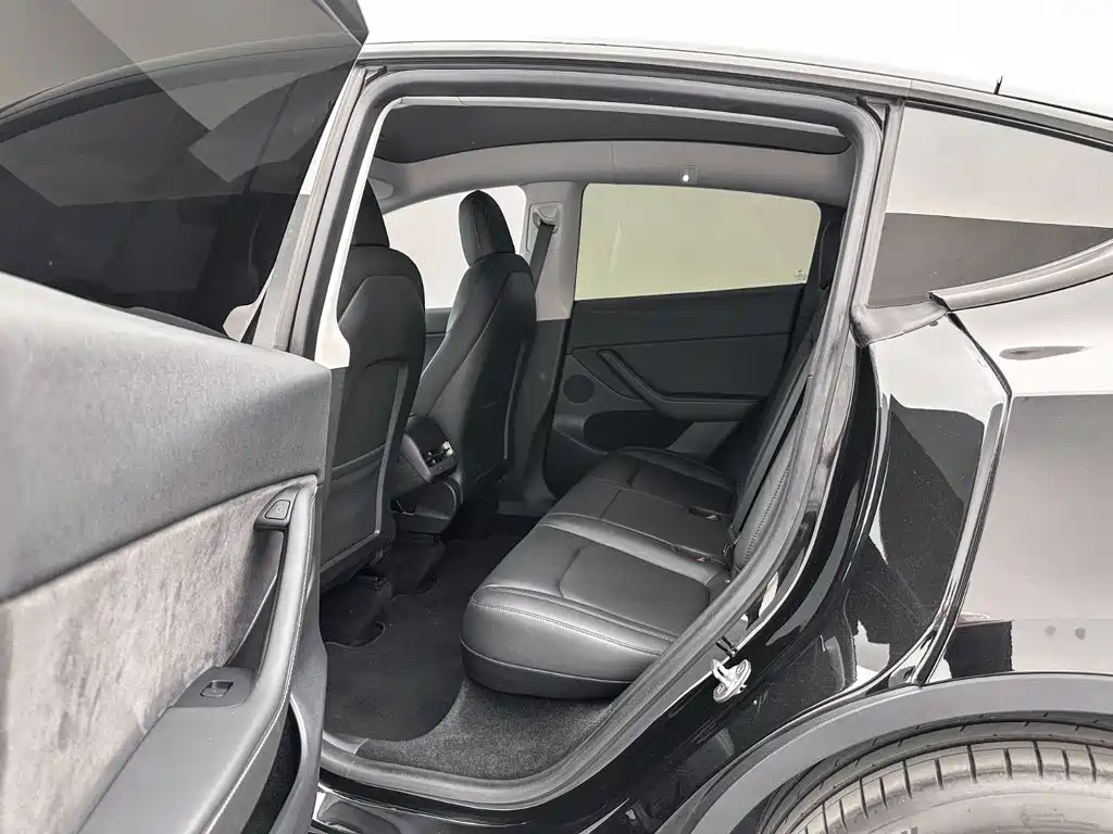 Tesla Model Y — миниатюра 19