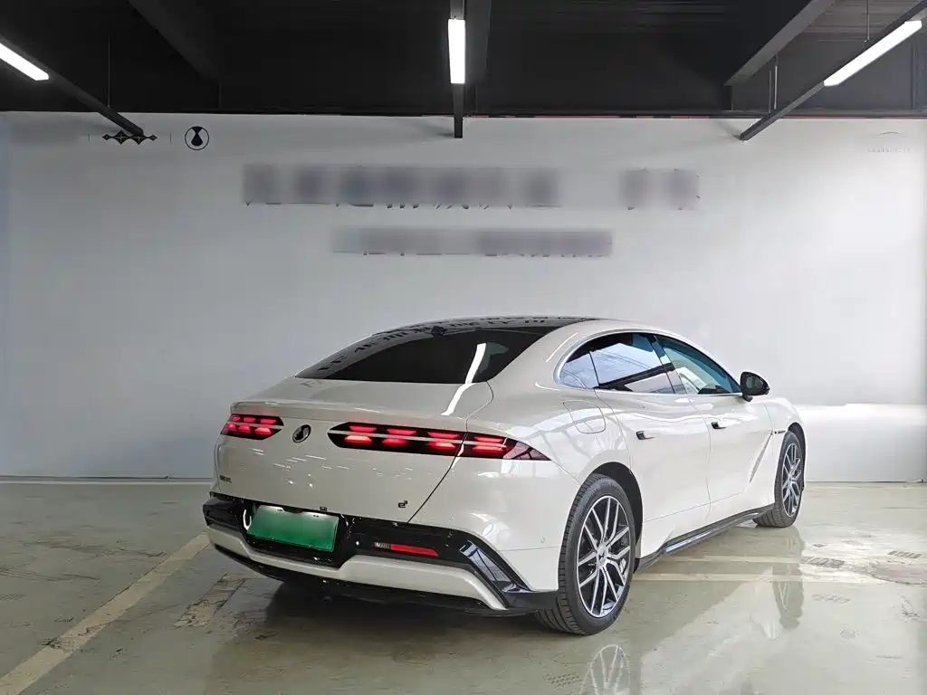 Denza Denza Z9 — миниатюра 15
