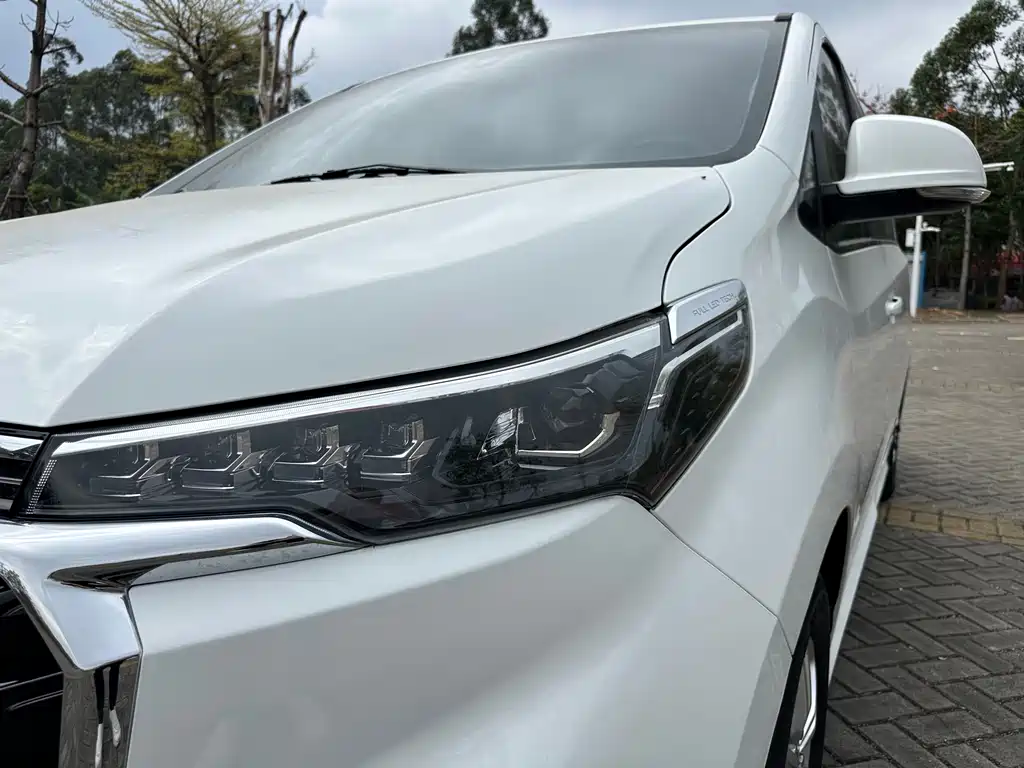 SAIC MAXUS CHASE G20