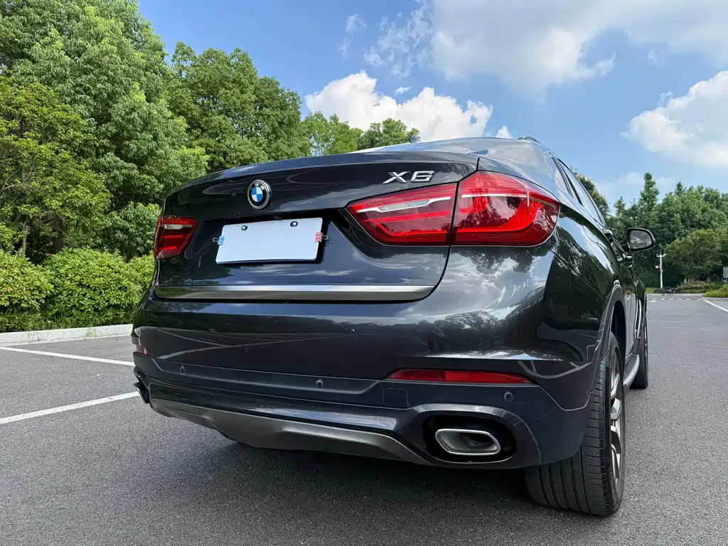 BMW X6 — миниатюра 6