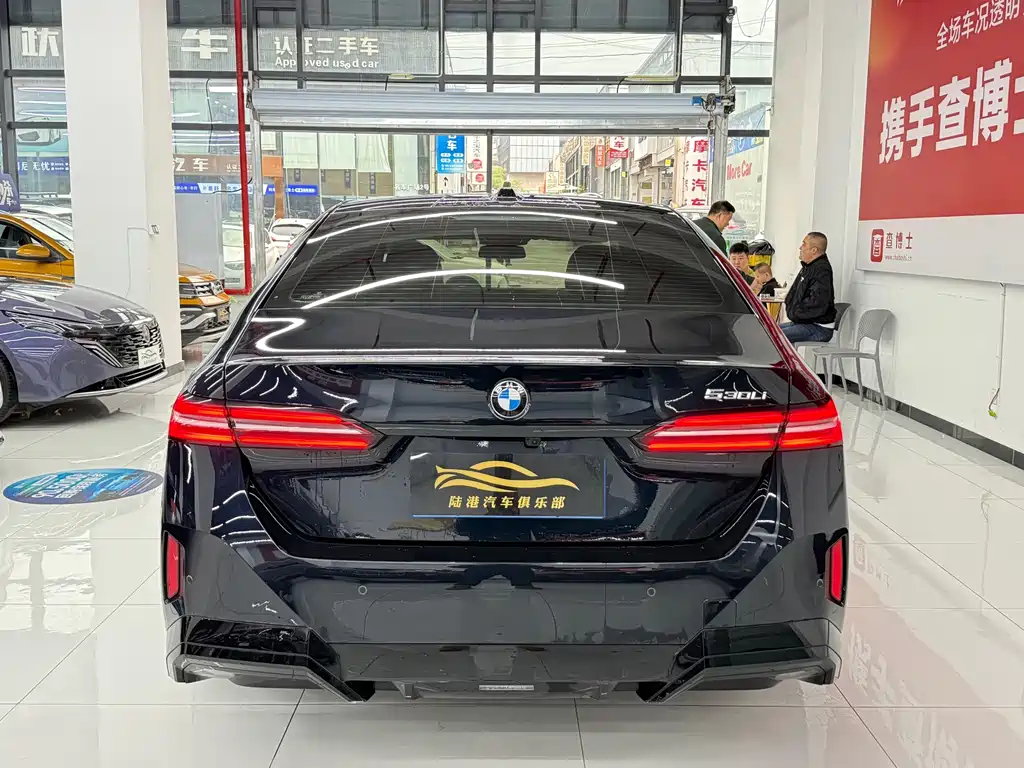 BMW 5 Series — миниатюра 15