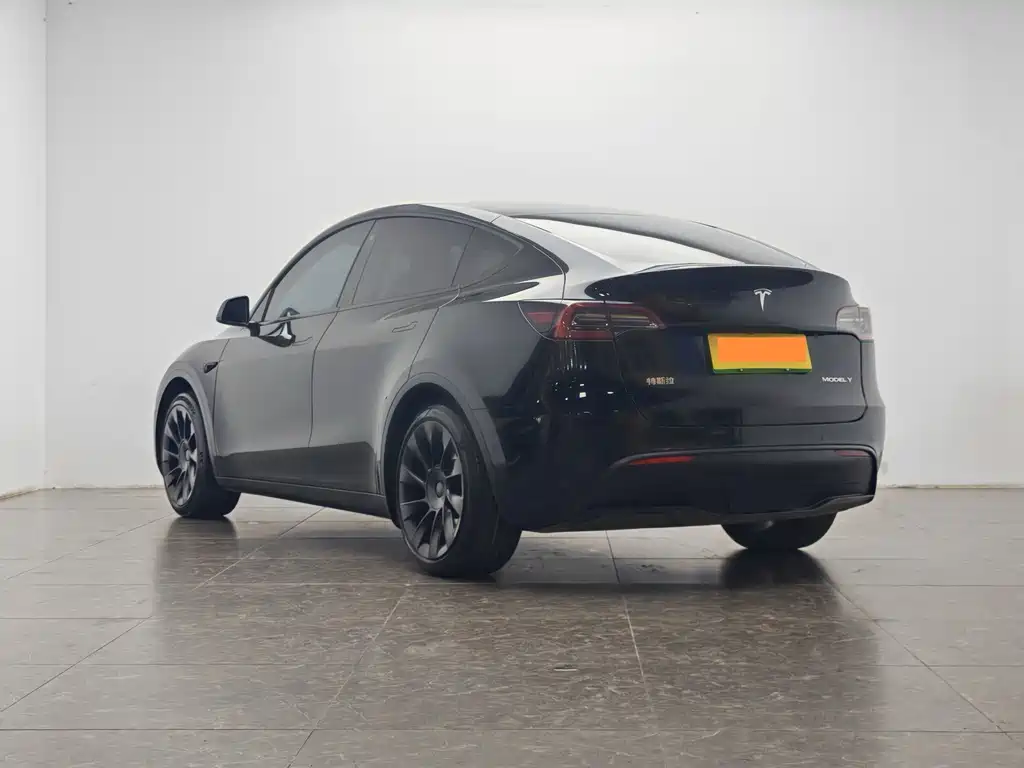 Tesla Model Y — миниатюра 4