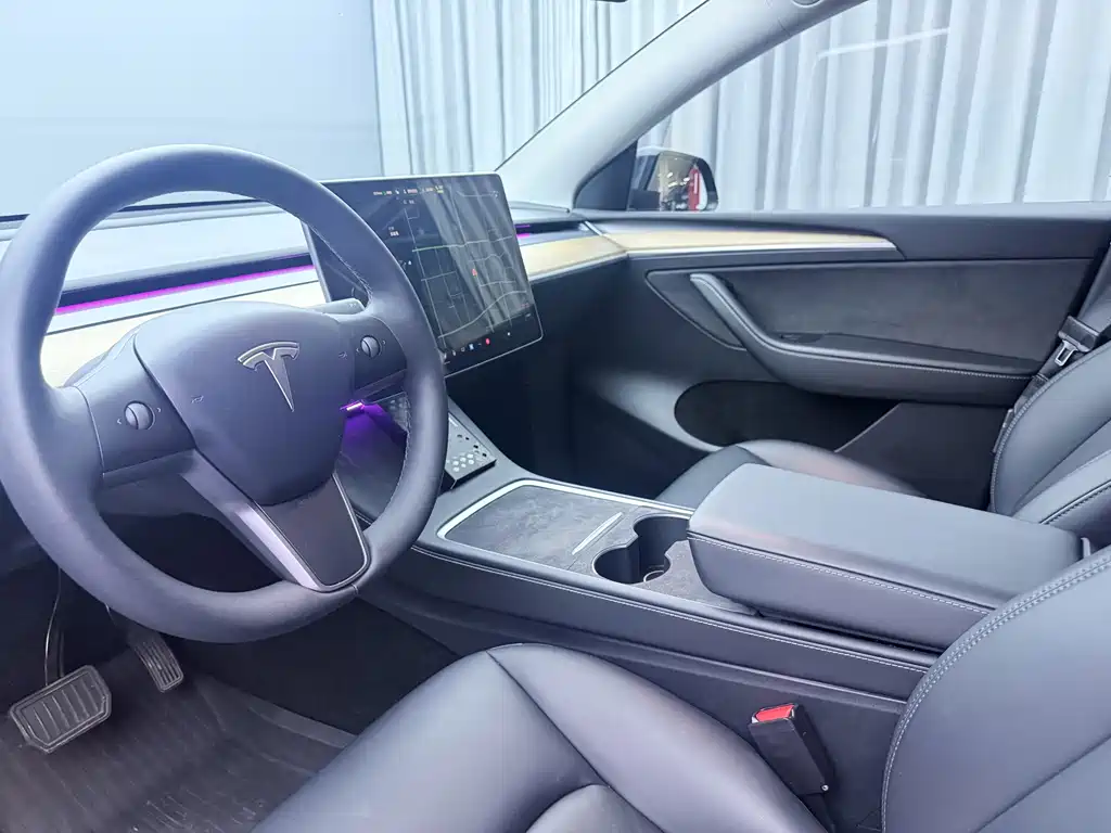 Tesla Model Y — миниатюра 8