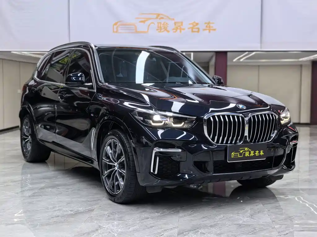 BMW X5 — миниатюра 3
