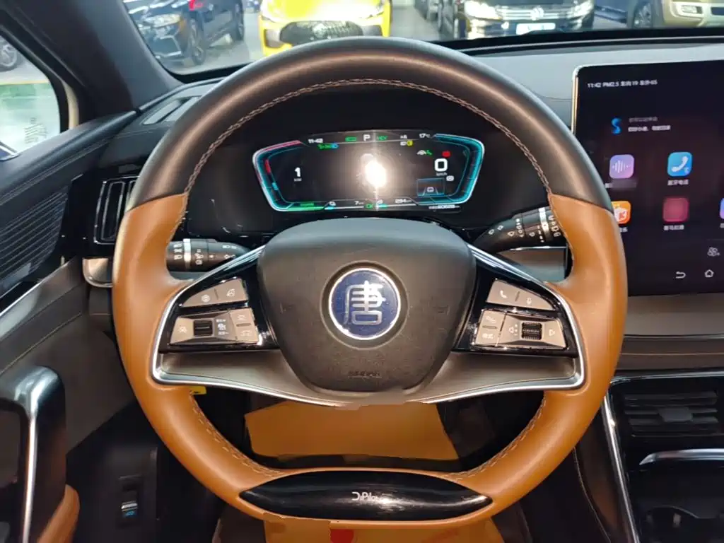 BYD Tang New Energy — миниатюра 11