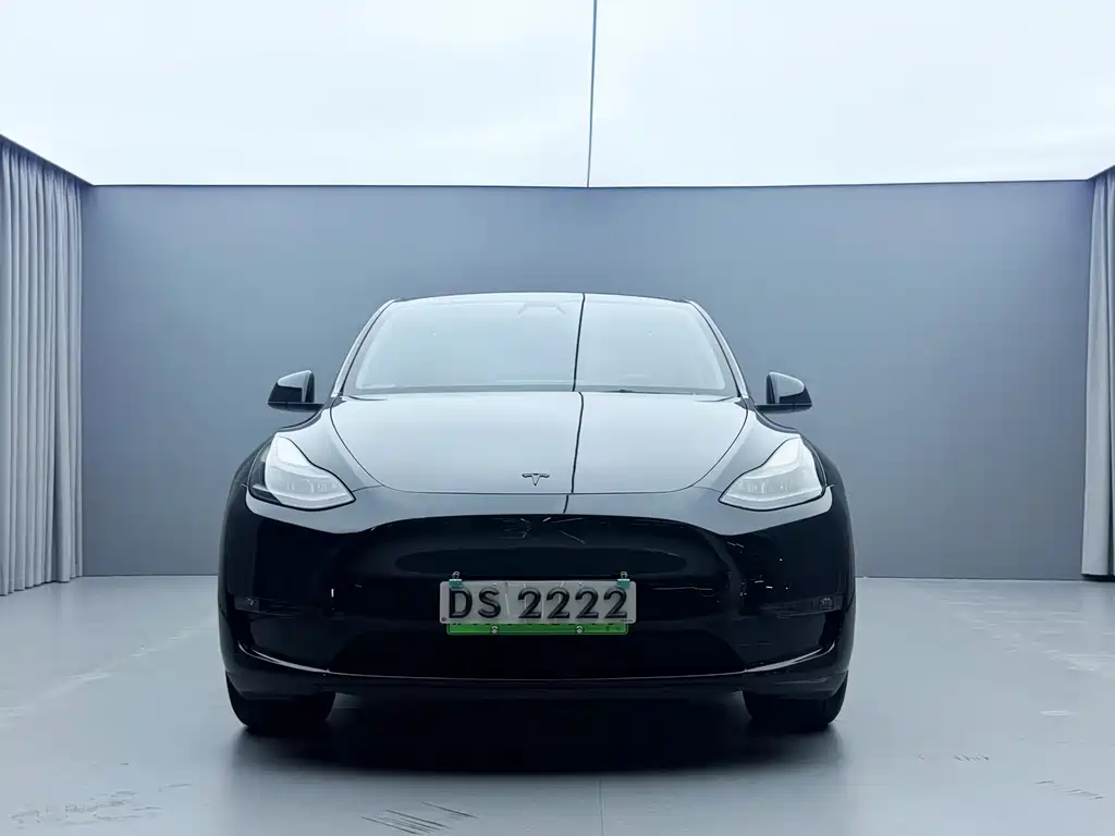 Tesla Model Y — миниатюра 4