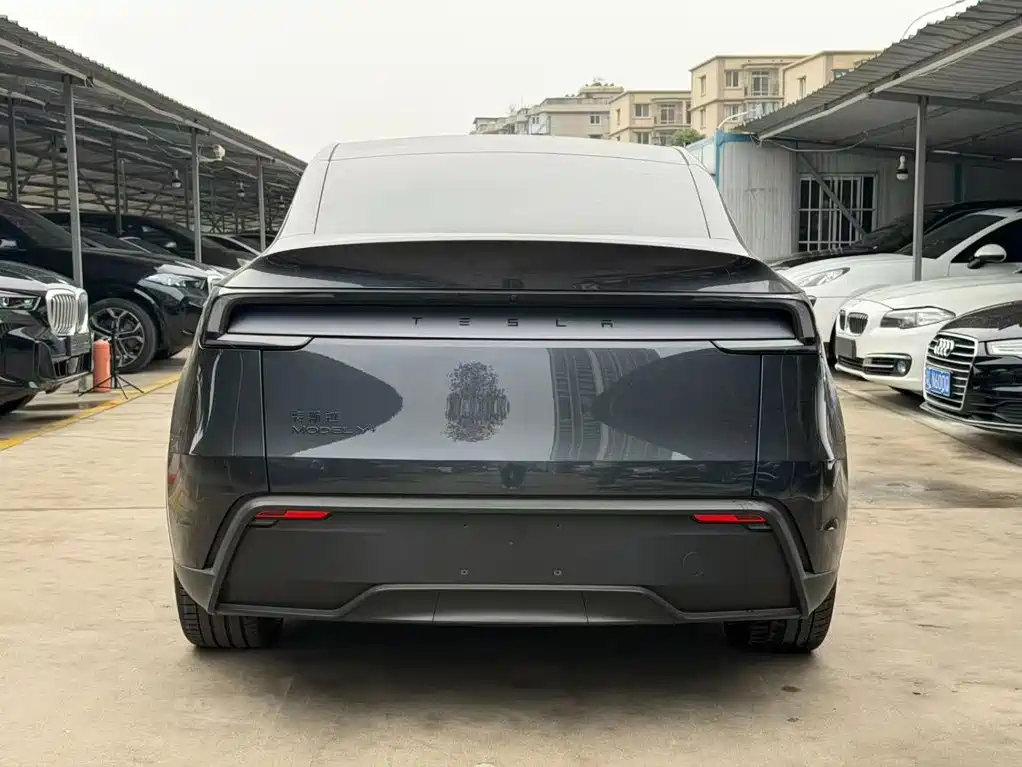 Tesla Model Y — миниатюра 8