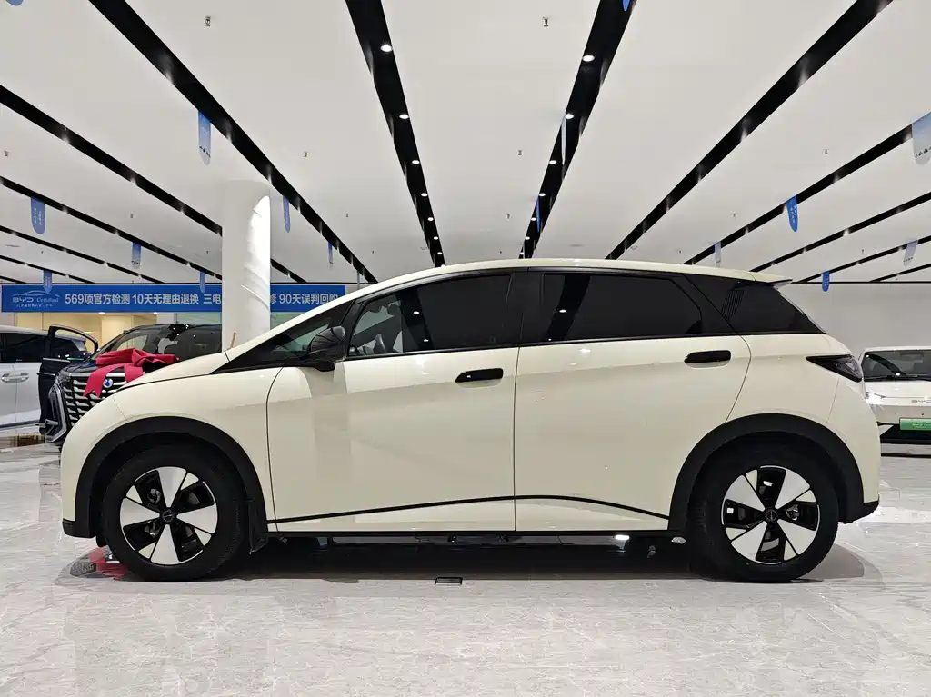 BYD Dolphin 2023 420km Freedom