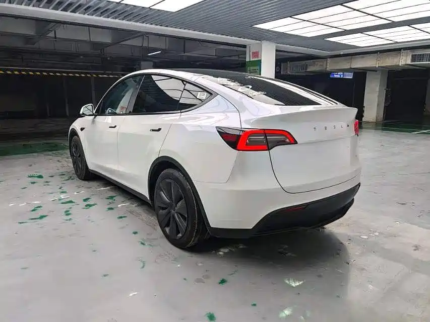 Tesla Model Y — миниатюра 2