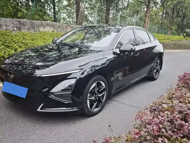 Wuling Starlight