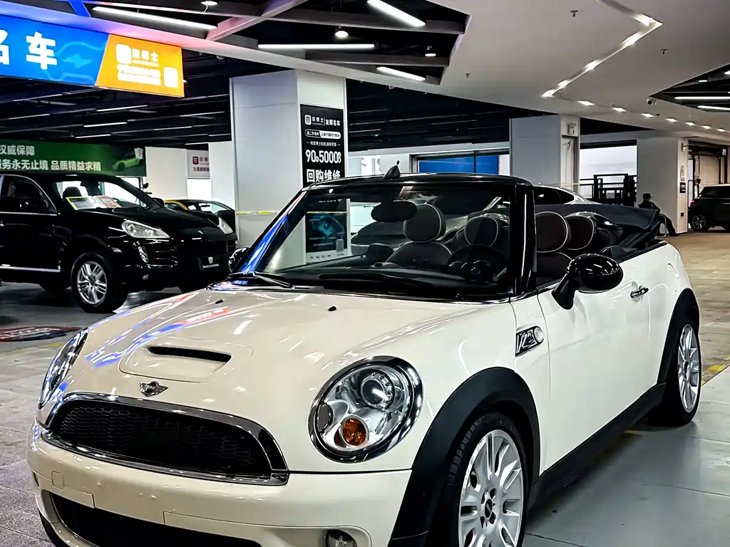 Mini Mini 2010