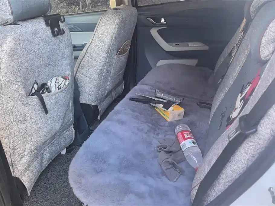 CHANGAN BENBEN E STAR