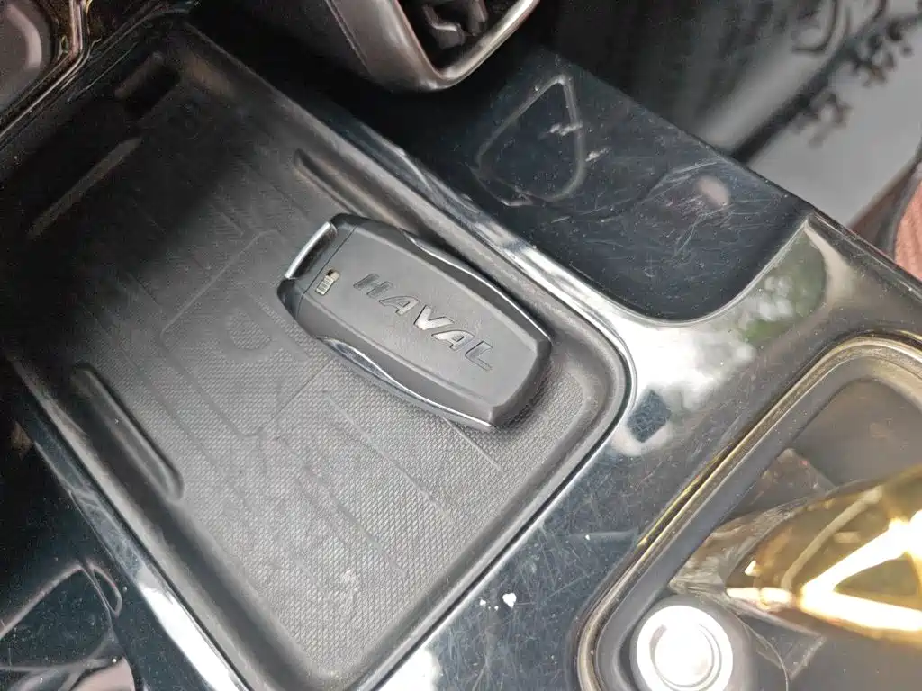 Haval Big Dog — миниатюра 12