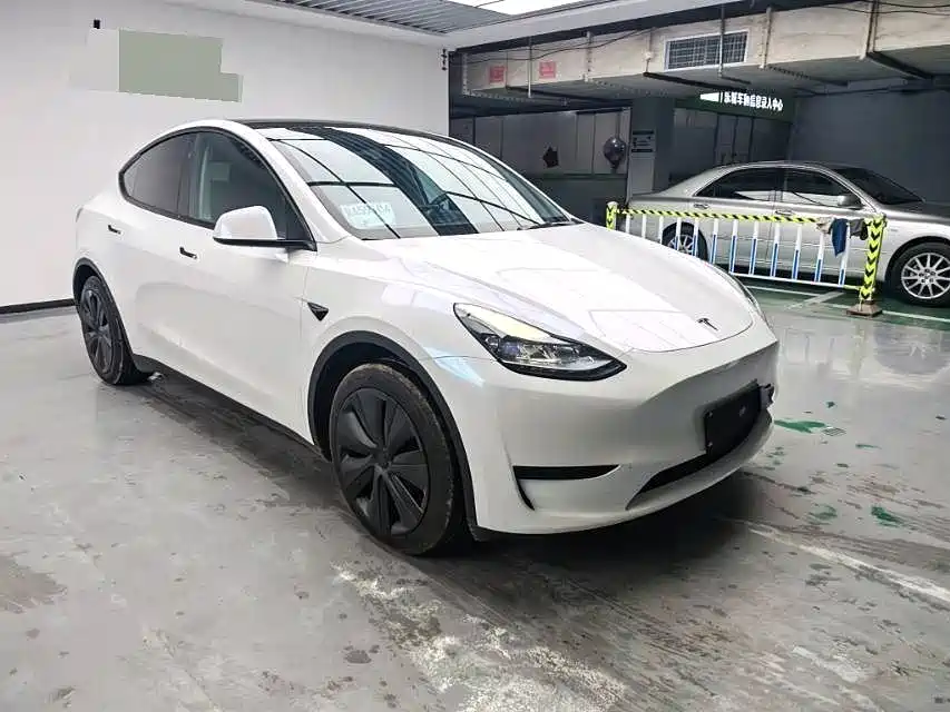Tesla Model Y — миниатюра 4
