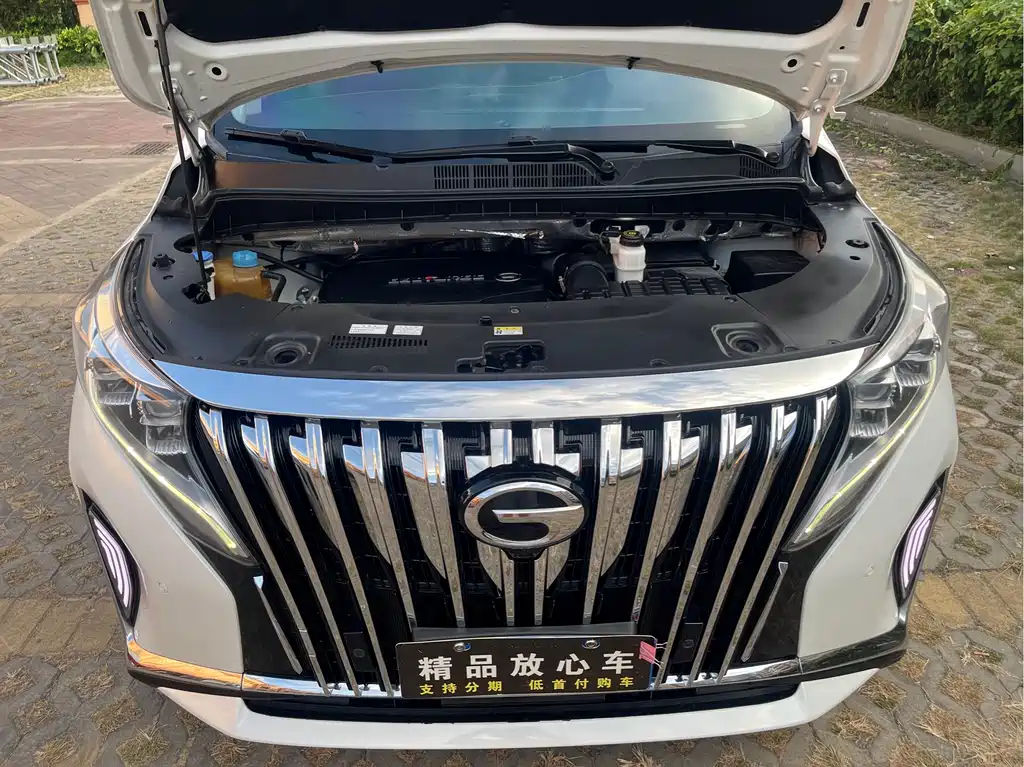 GAC Motor Trumpchi M8 — миниатюра 20