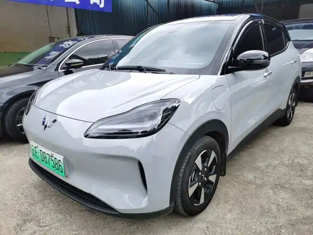 2024 Wuling Motors Binguo