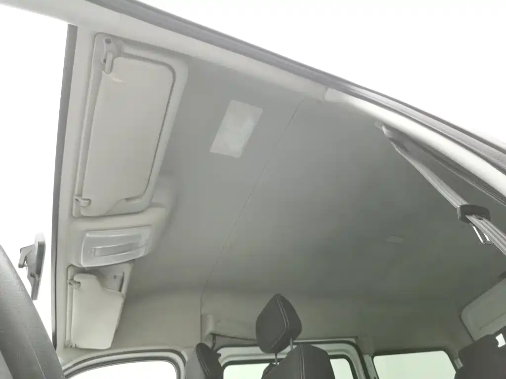 MAXUS V80 — миниатюра 14