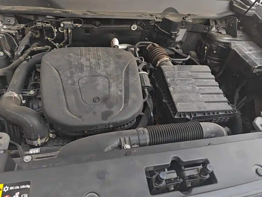 HAVAL RAPTORS NEW ENERGY