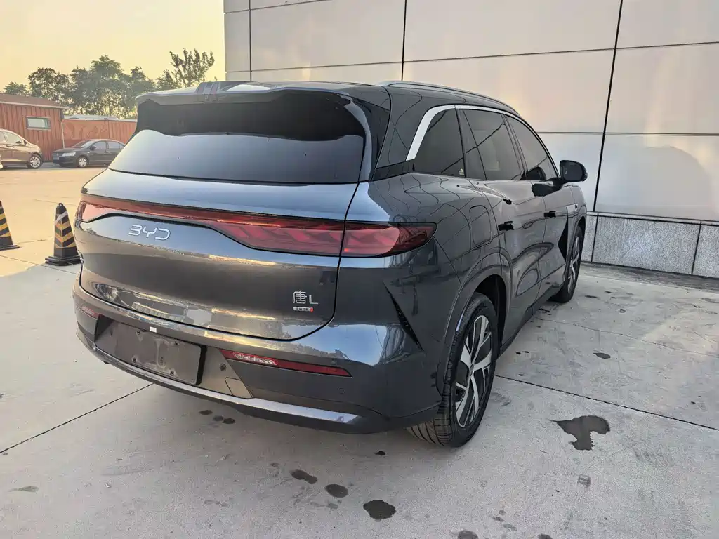 BYD Tang L - фото 4