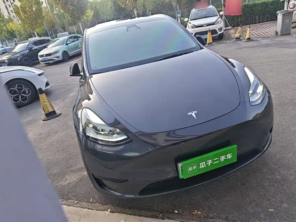 Tesla Model Y — миниатюра 4