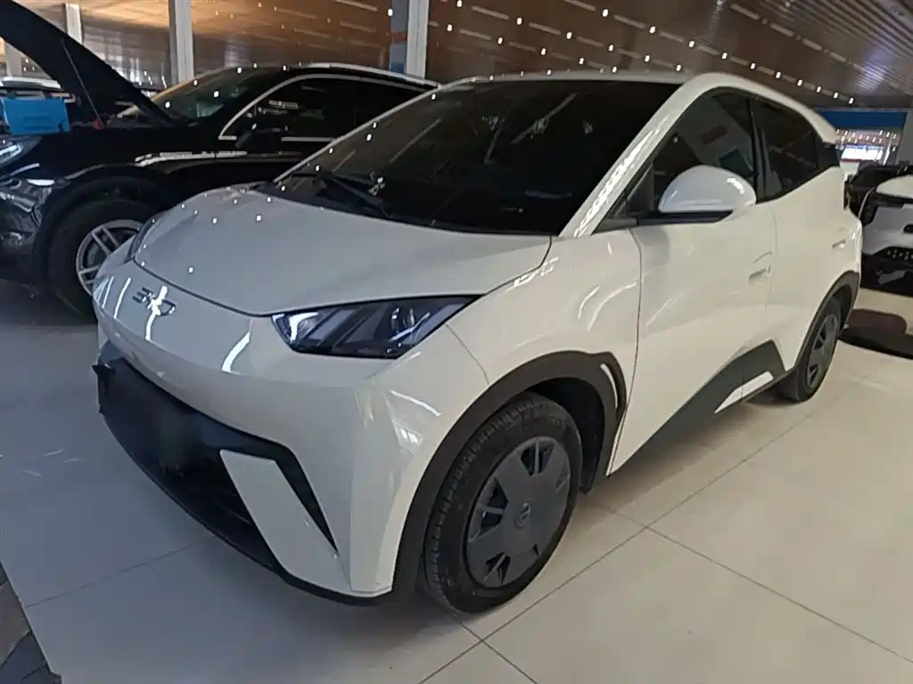 Byd Seagull 2025
