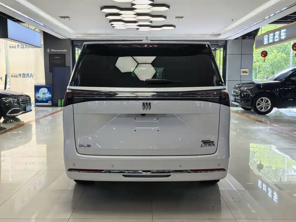 Buick GL8 Land Business Class First Enjoy Edition, фото 8