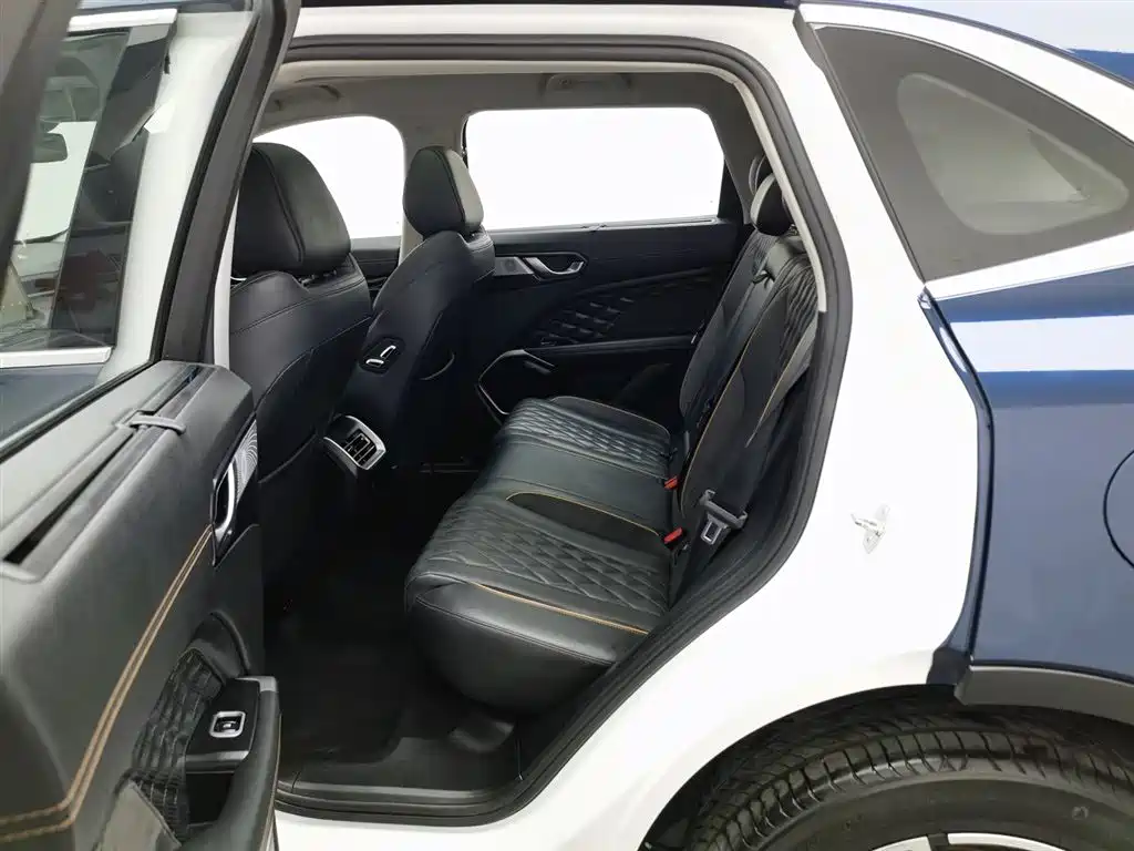 WEI PAI WEI BRAND LATTE DHT PHEV