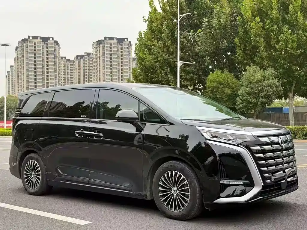 Denza Denza D9 — миниатюра 3