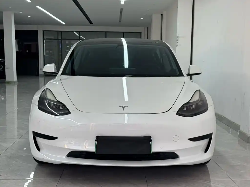 Tesla Model 3 — миниатюра 2