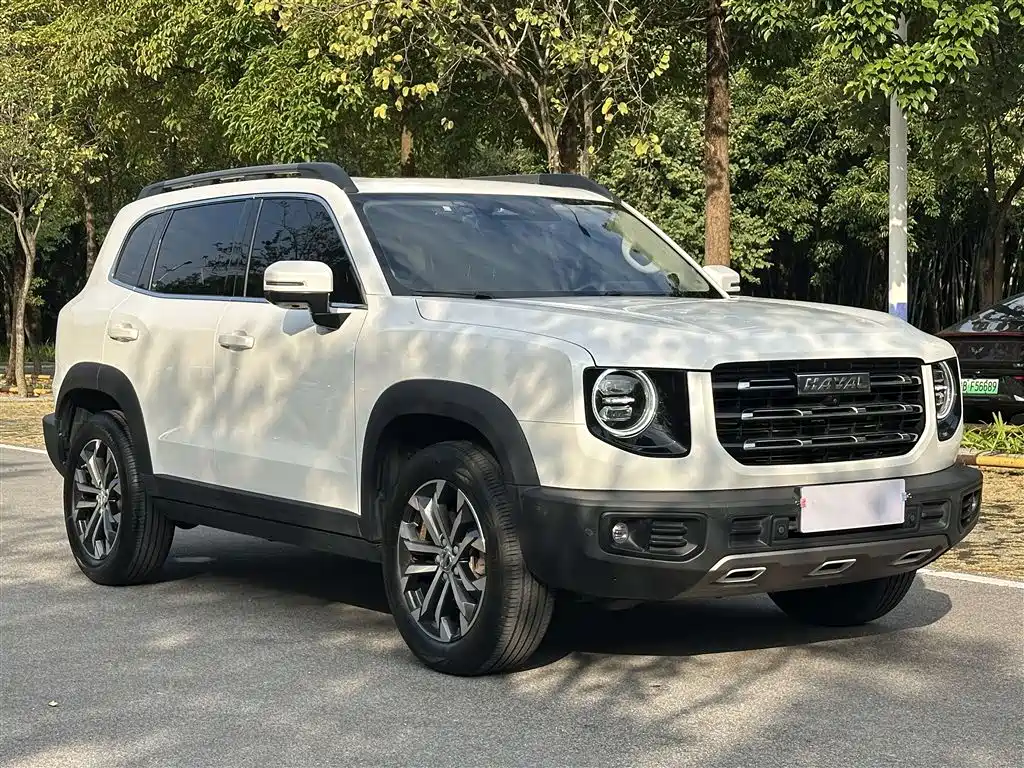 HAVAL BIG DOG