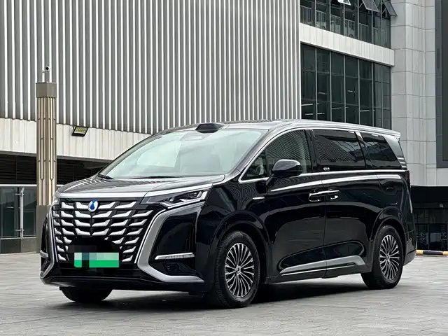 2025 Denza D9
