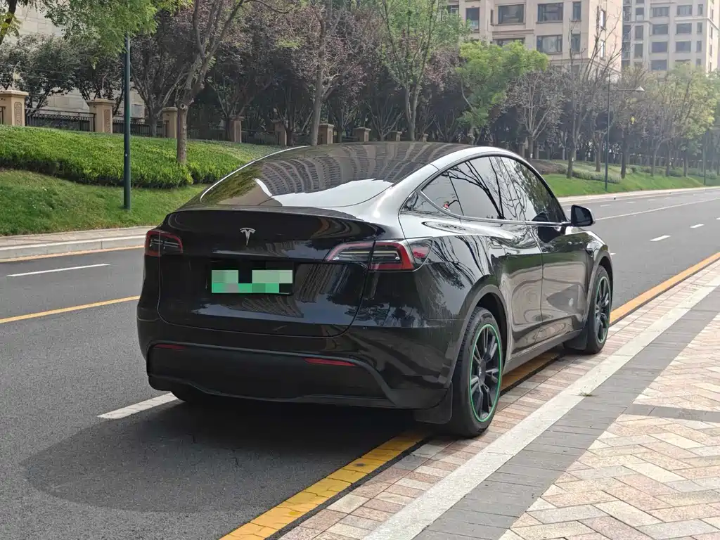 Tesla Model Y — миниатюра 5