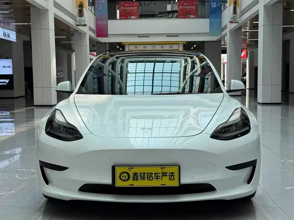Tesla Model 3 2021 3D6